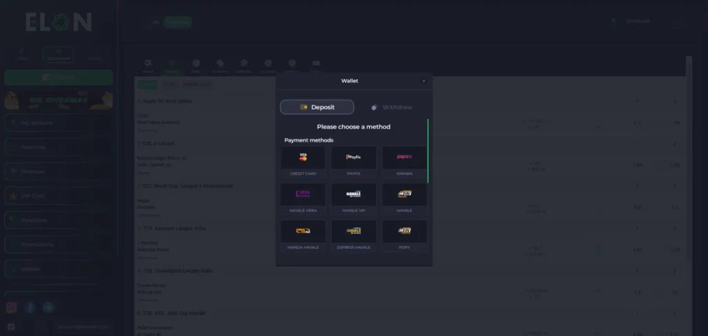 Elonbet Deposit and Withdrawal Options